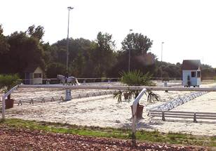 Beschreibung: Beschreibung: Beschreibung: Beschreibung: Beschreibung: Beschreibung: Beschreibung: Beschreibung: Beschreibung: Beschreibung: Beschreibung: DressageT