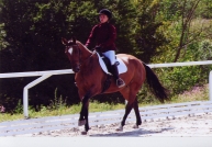 Dressage