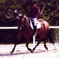 dressage