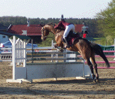 Concours Complet