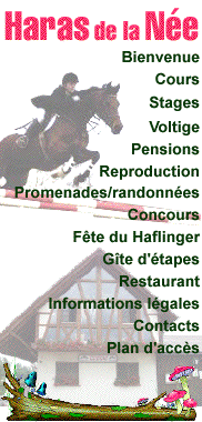 Menus