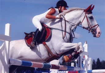 Concours de saut d'Obstacles