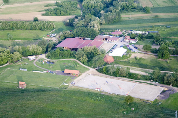 Carri&egrave;re en herbe et obstacles d'attelage